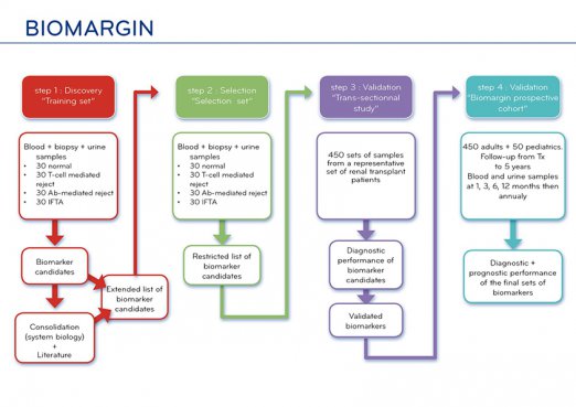 plan-biomargin